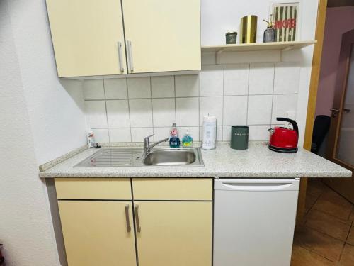 a kitchen with a sink and a counter top at Forest Nest Huchenfeld in Pforzheim