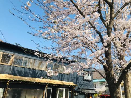 a tree with pink blossoms in front of a building at Showa No Toraya - Vacation STAY 61491v in Chikuma