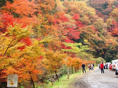Gallery image of Issyuku Ike Issyo En - Vacation STAY 86625v in Tabuchi