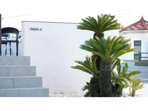 a couple of palm trees in front of a building at OCEAN FRONT TATEYAMA - Vacation STAY 66625v in Tateyama