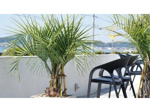 two chairs and a palm tree on a patio at OCEAN FRONT TATEYAMA - Vacation STAY 61331v in Tateyama
