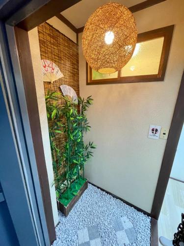 Shobi Building 2 208 - Vacation STAY 16685