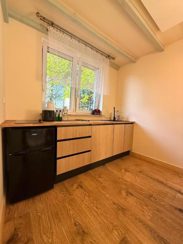 an empty kitchen with a sink and a window at Apartamenty i Winnica - Siedlisko Na Polanie in Lipka Wielka