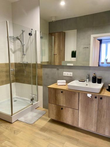 a bathroom with a sink and a shower at Loftson Apartament in Konin