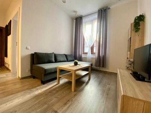 Μια τηλεόραση ή/και κέντρο ψυχαγωγίας στο Loftson Apartament