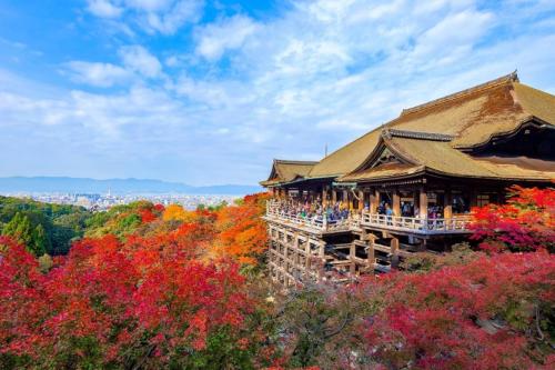 Platinum Yasaka - Vacation STAY 84649v