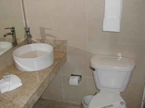 a bathroom with a white toilet and a sink at Hotel Gya Boutique in Aguascalientes