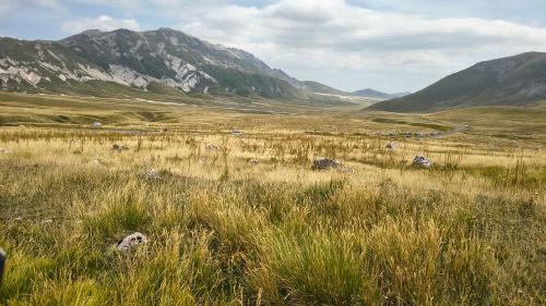 a field of tall grass with mountains in the background at Amelia Sweet Home - Farindola in Farindola