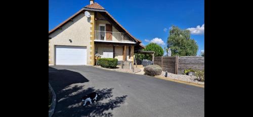 a cat walking down a road in front of a house at Chambre d hotes dans maison au calme et bien située pour visiter de nombreux sites in Saint-Pantaléon-de-Larche
