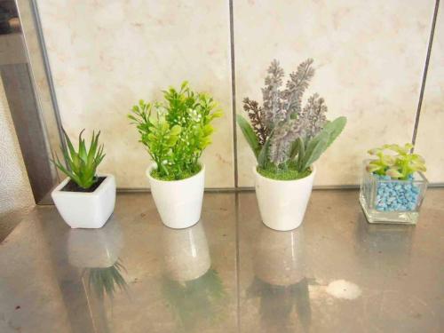 four potted plants are sitting on a floor at Piso Essauna - Vacation STAY 16990 in Igei