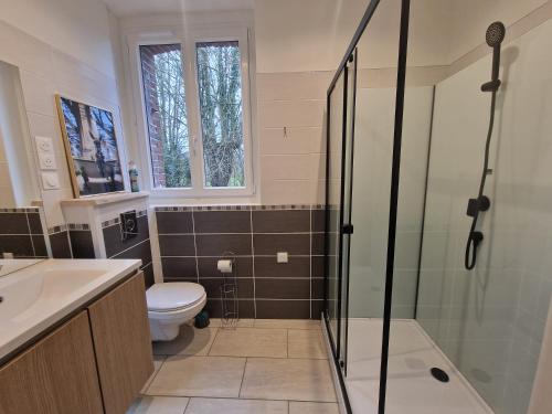 a bathroom with a toilet and a glass shower at Gite Lagarto animaux bienvenus 