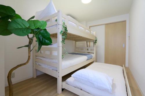 Hirata Building 402 - Vacation STAY 17145
