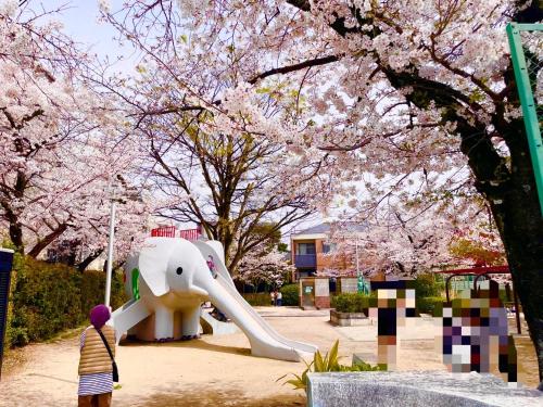 a person standing in front of a slide in a park with cherry trees at Sakura Apartment - Vacation STAY 17178 in Toyonaka