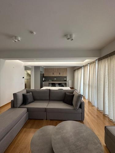 Niarchos Elegant Penthouse