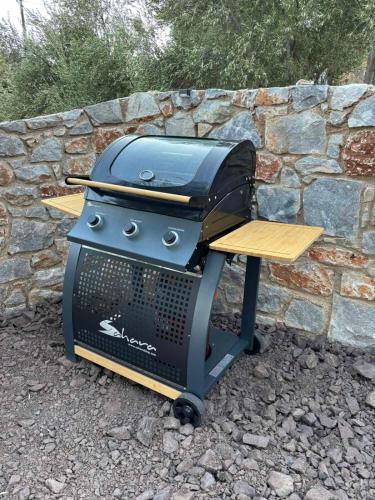 Attrezzature per barbecue disponibili per gli ospiti della villa