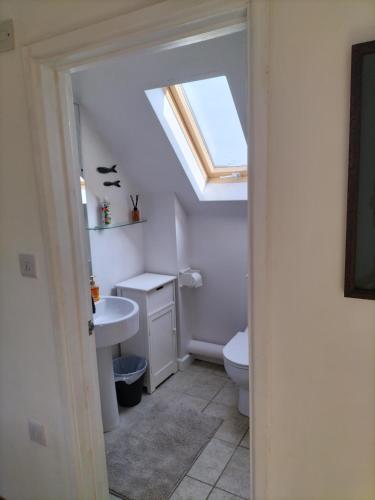 a bathroom with a sink and a toilet with a skylight at Fig Tree Cottage 