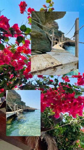 a collage of photos with red flowers and a bridge at Akrata Golden Beach House 2 in Aíyira