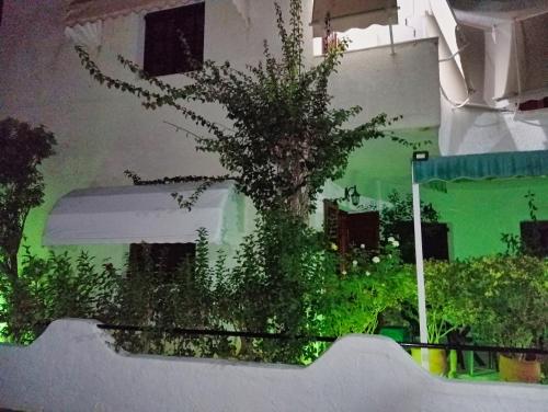 a green building with a tree in front of it at Akrata Golden Beach House 2 in Aíyira