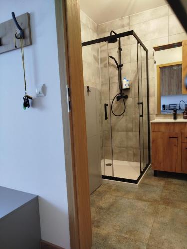 a bathroom with a shower and a sink at Apartament Lawendowy in Wieliszew