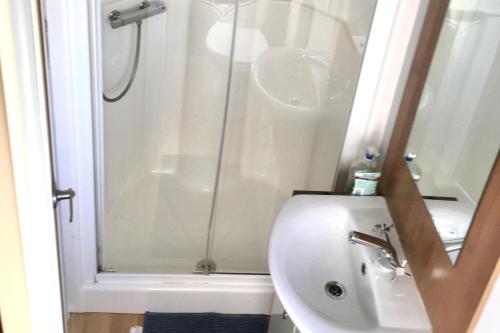 a bathroom with a shower and a toilet and a sink at Beautiful 3 bed caravan SouthviewPark Skegness in Skegness