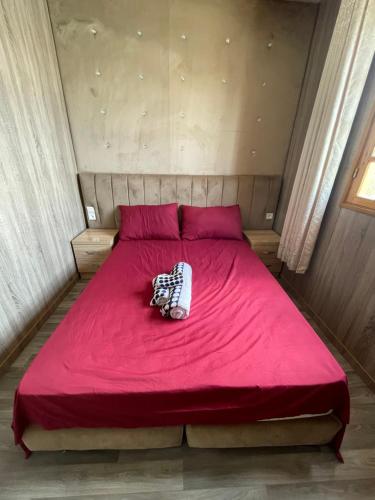 a red bed with a stuffed animal laying on it at Camping Riad Maissa in Dou Tourga