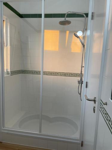 a shower with a glass door in a bathroom at Garden Loft in Ribeira Grande