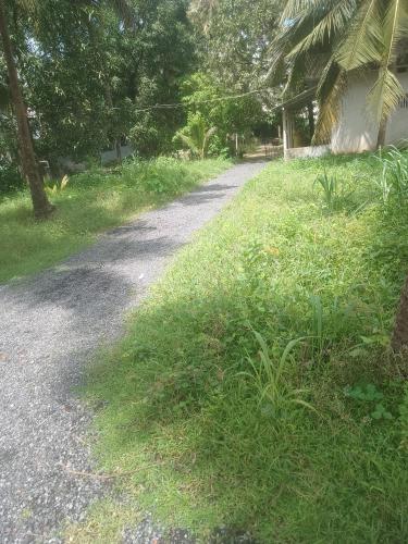 Jardín al aire libre en Krishna sadana beach side home stay