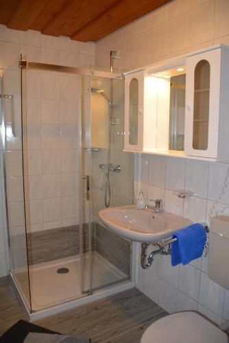 a bathroom with a shower and a sink at Bayerwald-Ferienhof Schmid in Eppenschlag