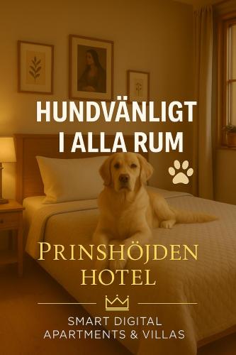 a dog sitting on a bed in a bedroom at Prinshöjden Hotel - Smart Digital Apartments & Villas in Katrineholm