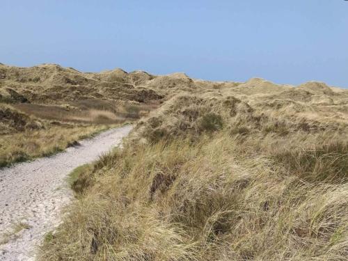 a dirt road in the middle of a grassy field at 8 person holiday home in Blåvand in Blåvand