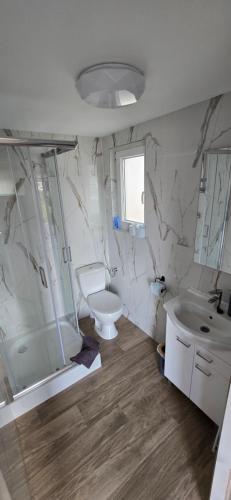 a bathroom with a toilet and a sink at Biały Sztorm in Rusinowo