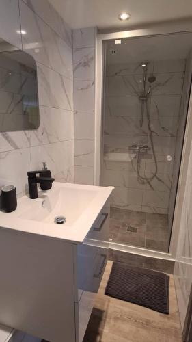 Joli appartement proche place Wilson - centre