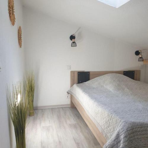 COCON en Camargue