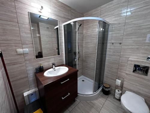 une salle de bain avec un lavabo, une douche et des toilettes dans l'établissement Morska Ballada apartament 43m2 przy morzu, garaż, basen, sauny, à Jastrzębia Góra