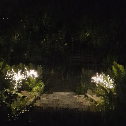 a garden lit up at night with lights at Willa Marysin in Maków Podhalański