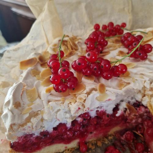 a piece of cake with fruit on top of it at Willa Marysin in Maków Podhalański