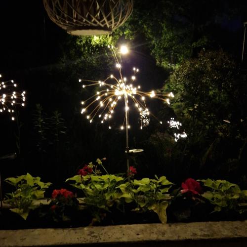 a light in a garden at night with flowers at Willa Marysin in Maków Podhalański
