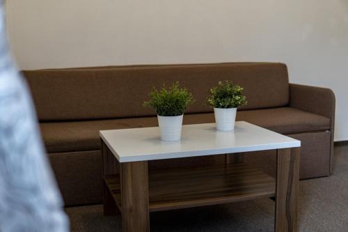 Χώρος καθιστικού στο Apartmany Kouty
