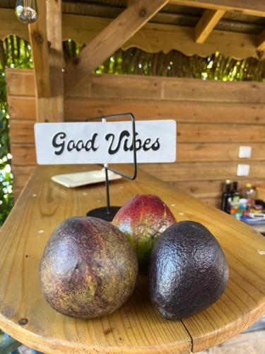 two avocados and a sign that says good vibes at Caraiba - Maisons de Vacance avec Piscine et Toit Terrasse in Sainte-Anne