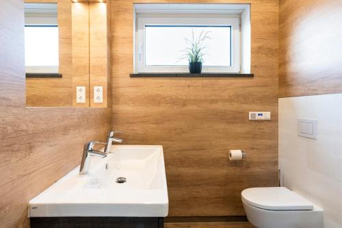 a bathroom with a sink and a toilet and a window at Ferienhaus SUNSET am Mühlfeldsee in Löbnitz