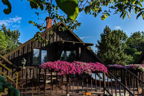 a cabin with pink flowers in front of it at Siedlisko Dzika Kaczka in Płociczno