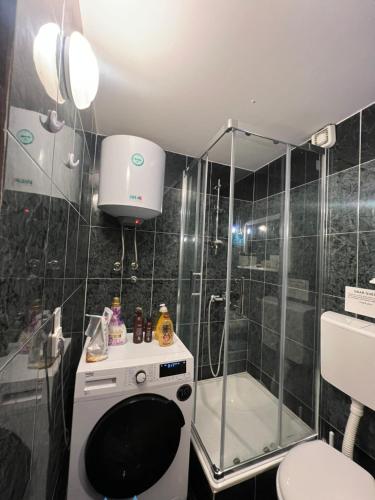 a bathroom with a shower and a toilet and a sink at Prcanj studio apartments in Prčanj