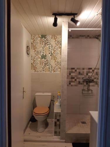 a small bathroom with a toilet and a shower at Guingamp, maison de ville in Guingamp
