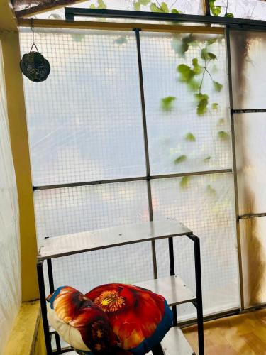 a chair sitting in front of a window at Chill Door Homestay in Ấp Long Ðại
