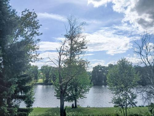 a view of a lake with trees in a field at Apartment U Rybníka by Interhome in Stříbrná Skalice