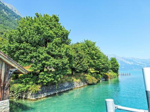 a view of a river with trees on the shore at Chalet Haus am See by Interhome in Niederried