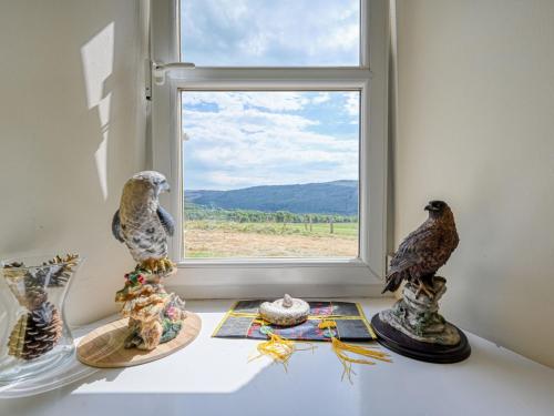 two birds sitting on a table in front of a window at Holiday Home The Manor House by Interhome in Balnain