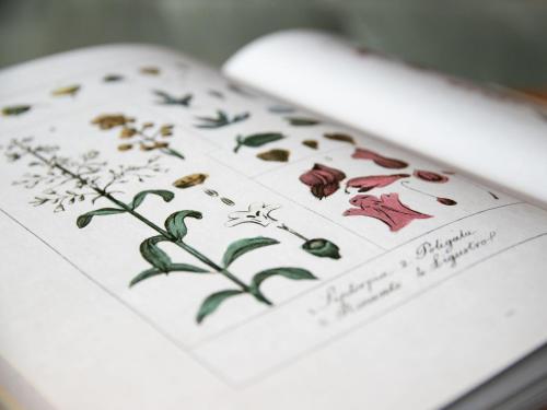 a book with drawings of flowers on it at Chalet Quinette by Interhome in Ovronnaz