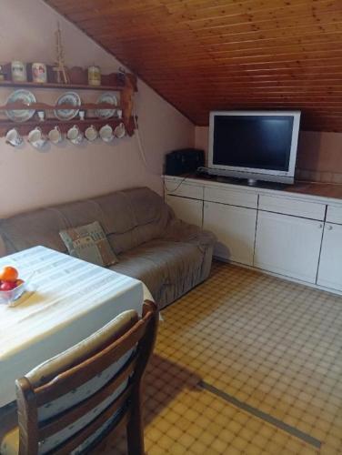 a living room with a couch and a flat screen tv at Ferienwohnung Baumann Alois in Furth im Wald