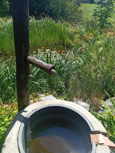 a bucket of water with a water hose at Ferienwohnung Baumann Alois in Furth im Wald